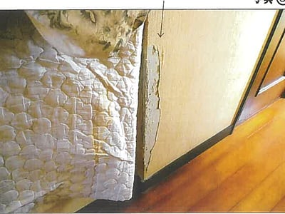 兵庫県洲本市 戸建て 60万円の競売物件情報 #8