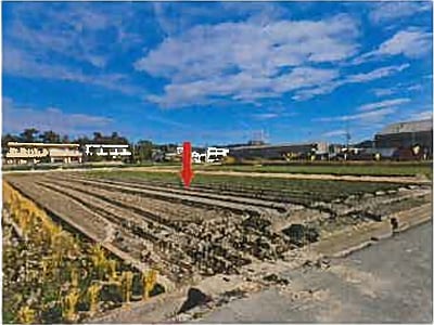 兵庫県南あわじ市 農地 119万円の競売物件情報 #4