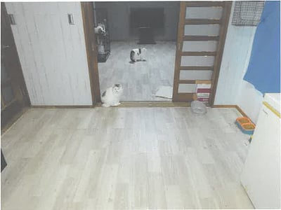 茨城県水戸市 偕楽園駅 戸建て 648万円の競売物件情報 #3
