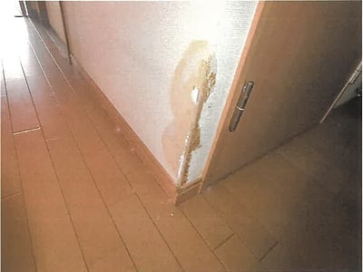 愛知県海部郡大治町 春田駅 マンション「アメニティ大治」532万円の競売物件情報 #8