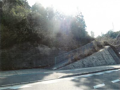 和歌山県日高郡日高川町 道成寺駅15分 農地 41万円の競売物件情報 #2