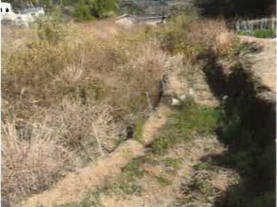和歌山県日高郡日高川町 道成寺駅24分 農地 71万円の競売物件情報 #5