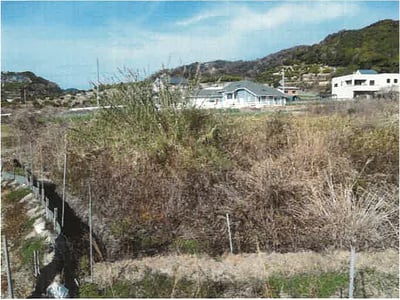 和歌山県日高郡日高川町 道成寺駅24分 農地 71万円の競売物件情報 #6