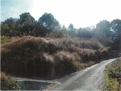 和歌山県日高郡日高川町 道成寺駅28分 戸建て 294万円の競売物件情報 #6