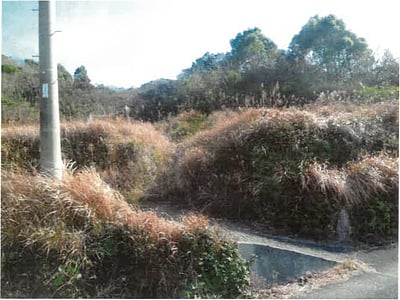 和歌山県日高郡日高川町 道成寺駅28分 戸建て 294万円の競売物件情報 #7