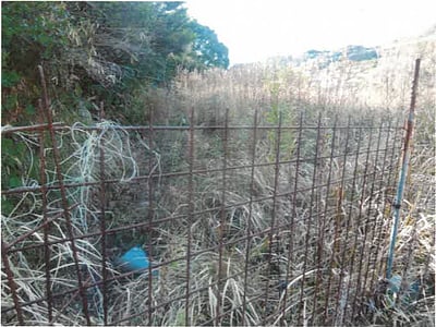和歌山県日高郡日高川町 道成寺駅28分 戸建て 294万円の競売物件情報 #9