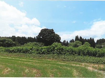 (値下げ) 宮崎県都城市 日向前田駅 農地 109万3,000円の競売物件情報 #30