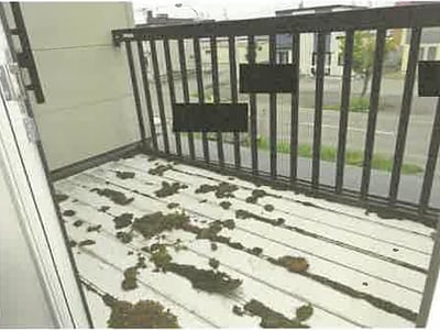 北海道旭川市 旭川駅27分 戸建て 590万円の競売物件情報 #15