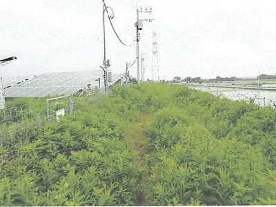 茨城県稲敷市 佐原駅 土地 403万円の競売物件情報 #1