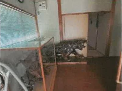 香川県仲多度郡まんのう町 塩入駅 戸建て 149万円の競売物件情報 #45