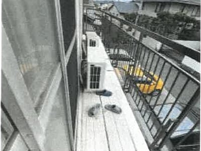 香川県仲多度郡多度津町 多度津駅8分 戸建て 357万円の競売物件情報 #16