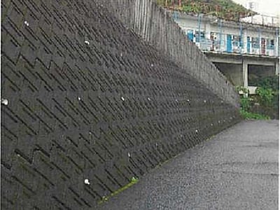 愛媛県南宇和郡愛南町 戸建て 245万円の競売物件情報 #17