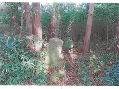 福島県須賀川市 農地 5万円の競売物件情報 #13