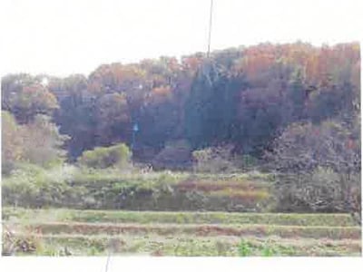 福島県須賀川市 農地 5万円の競売物件情報 #15