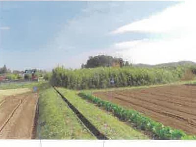 福島県須賀川市 農地 5万円の競売物件情報 #34