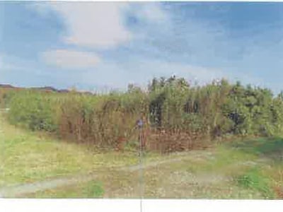 福島県須賀川市 農地 5万円の競売物件情報 #38