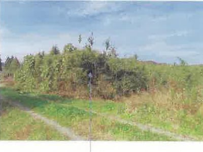 福島県須賀川市 農地 5万円の競売物件情報 #39