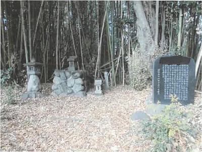 群馬県前橋市 群馬総社駅27分 戸建て 704万円の競売物件情報 #17