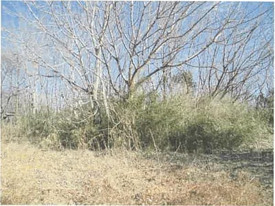 群馬県前橋市 群馬総社駅 農地 17万円の競売物件情報 #1