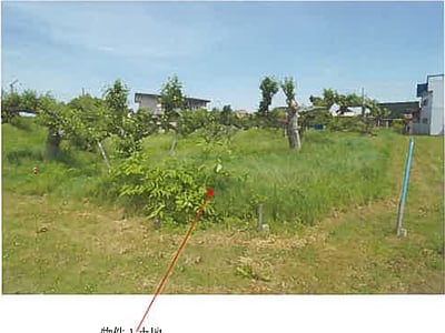 青森県弘前市 松木平駅20分 戸建て 70万円の競売物件情報 #4