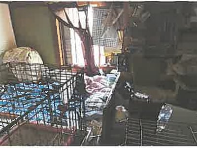 埼玉県所沢市 狭山ヶ丘駅11分 戸建て 429万円の競売物件情報 #7