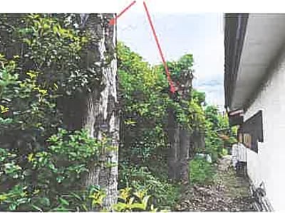 埼玉県所沢市 狭山ヶ丘駅 戸建て 453万7,000円の競売物件情報 #10