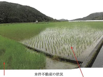 高知県宿毛市 東宿毛駅 農地 161万円の競売物件情報 #2