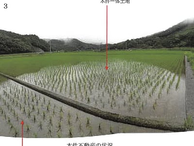 高知県宿毛市 東宿毛駅 農地 161万円の競売物件情報 #3