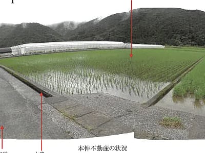 高知県宿毛市 東宿毛駅 農地 164万円の競売物件情報 #1