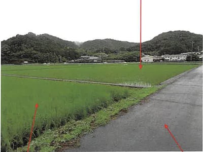 高知県宿毛市 東宿毛駅 農地 164万円の競売物件情報 #3