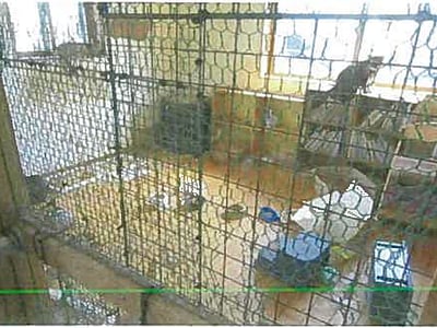 福岡県京都郡みやこ町 新豊津駅19分 戸建て 188万9,000円の競売物件情報 #7