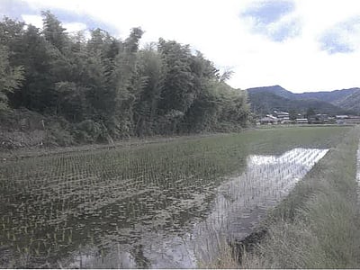 山形県上山市 かみのやま温泉駅 土地 132万円の競売物件情報 #3