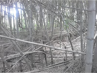 山形県上山市 かみのやま温泉駅 土地 132万円の競売物件情報 #4