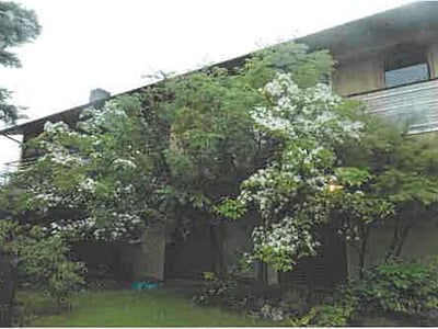 兵庫県西宮市 苦楽園口駅5分 戸建て 2億2,700万円の競売物件情報 #35