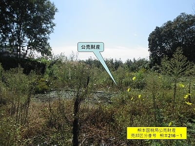 (値下げ) 熊本県山鹿市 土地 140万円の国税庁公売物件情報 #1