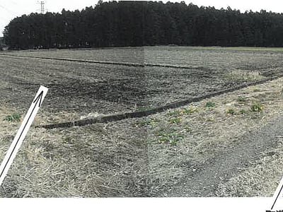 栃木県塩谷郡高根沢町 芳賀・高根沢工業団地駅 農地 81万8,000円の競売物件情報 #6