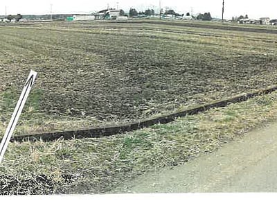 栃木県塩谷郡高根沢町 芳賀・高根沢工業団地駅 農地 36万5,000円の競売物件情報 #1