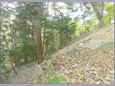 山梨県韮崎市 日野春駅 土地 35万円の競売物件情報 #4