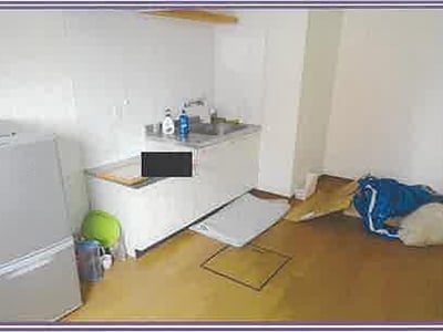山梨県大月市 猿橋駅16分 戸建て 843万円の競売物件情報 #24