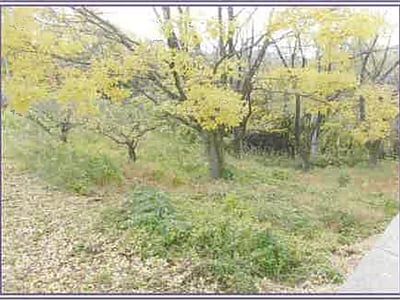山梨県甲府市 甲斐住吉駅 戸建て 2億9,861万円の競売物件情報 #26
