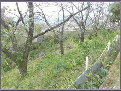 山梨県甲府市 甲斐住吉駅 戸建て 2億9,861万円の競売物件情報 #39