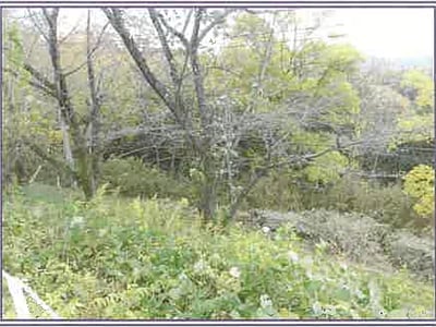 山梨県甲府市 甲斐住吉駅 戸建て 2億9,861万円の競売物件情報 #40