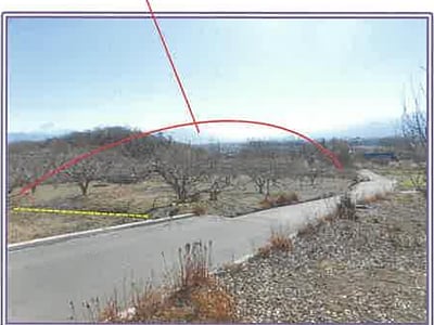 山梨県甲斐市 塩崎駅17分 農地 211万円の競売物件情報 #2
