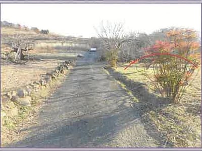 山梨県甲斐市 塩崎駅22分 農地 119万円の競売物件情報 #6