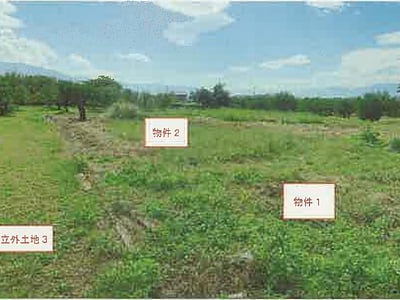 (値下げ) 山梨県笛吹市 石和温泉駅 農地 80万円の競売物件情報 #1
