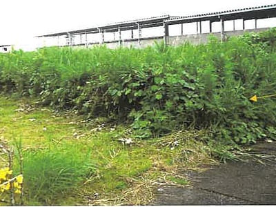 鹿児島県志布志市 志布志駅22分 土地 379万円の競売物件情報 #1
