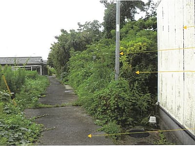 鹿児島県志布志市 志布志駅22分 土地 262万円の競売物件情報 #1