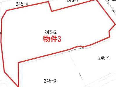 鹿児島県志布志市 志布志駅22分 土地 262万円の競売物件情報 #4