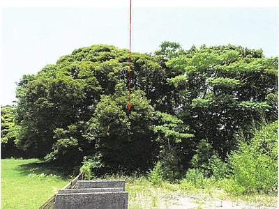 鹿児島県志布志市 志布志駅 土地 25万円の競売物件情報 #1