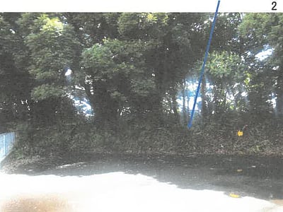 鹿児島県志布志市 志布志駅 土地 25万円の競売物件情報 #10